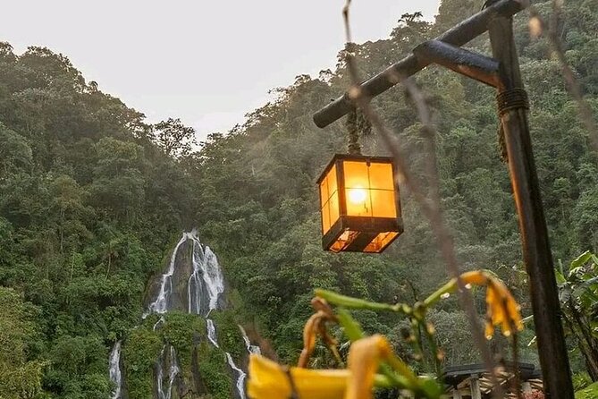 Salento, Cocora and Hot Springs Tour From Pereira or Armenia - Preparing for Your Tour