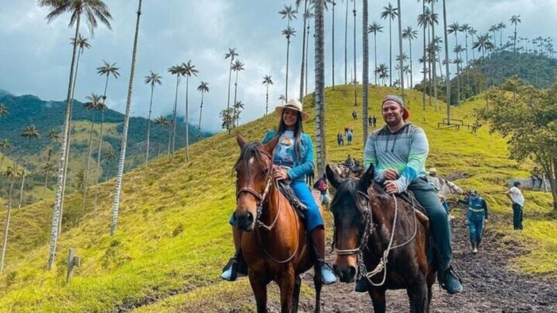 Salento, Cocora + Horseback Riding From Pereira or Armenia - Highlights of the Experience