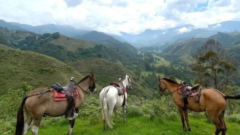 Salento, Cocora + Horseback Riding From Pereira or Armenia - Included and Excluded