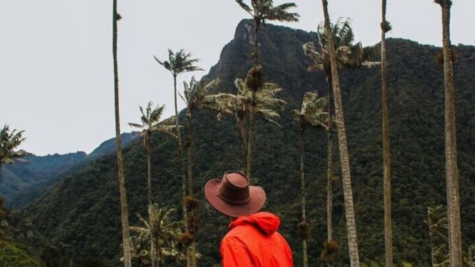 Salento, Cocora + Horseback Riding From Pereira or Armenia - Customizable Experiences