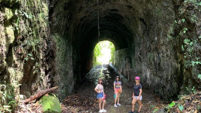 Salento, Cocora + Santa Rita Waterfall From Pereira/Armenia - Cancellation and Payment