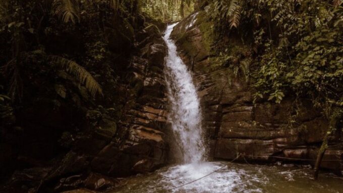 Salento, Cocora + Santa Rita Waterfall From Pereira/Armenia - Frequently Asked Questions