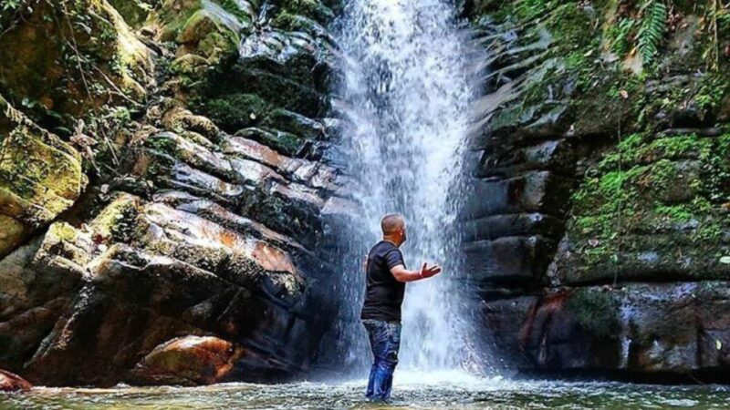 Salento, Cocora + Santa Rita Waterfall From Pereira/Armenia - Itinerary Highlights