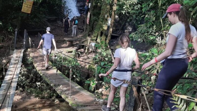 Salento, Cocora + Santa Rita Waterfall From Pereira/Armenia - Tour Inclusions