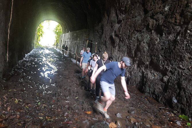 Salento, Cocora + Santa Rita Waterfall From Pereira or Armenia - Recap
