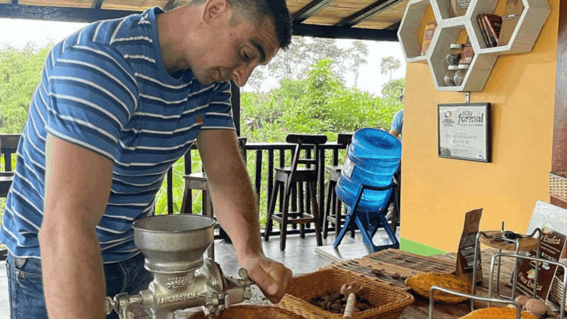 Salento, Cocora Valley & Cocoa Tour From Pereira or Armenia - Key Points