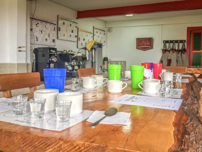 Salento: Coffee Tour at Finca El Ocaso - Key Points