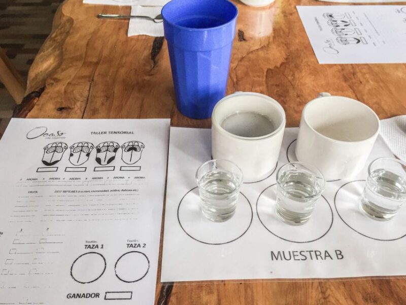Salento: Coffee Tour at Finca El Ocaso - Booking and Cancellation Details
