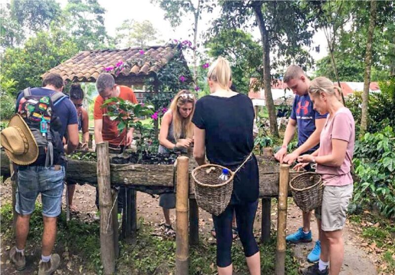 Salento: Coffee Tour at Finca El Ocaso - Exploring the Coffee Farms History