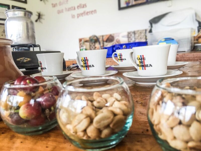 Salento: Coffee Tour at Finca El Ocaso - Key Points