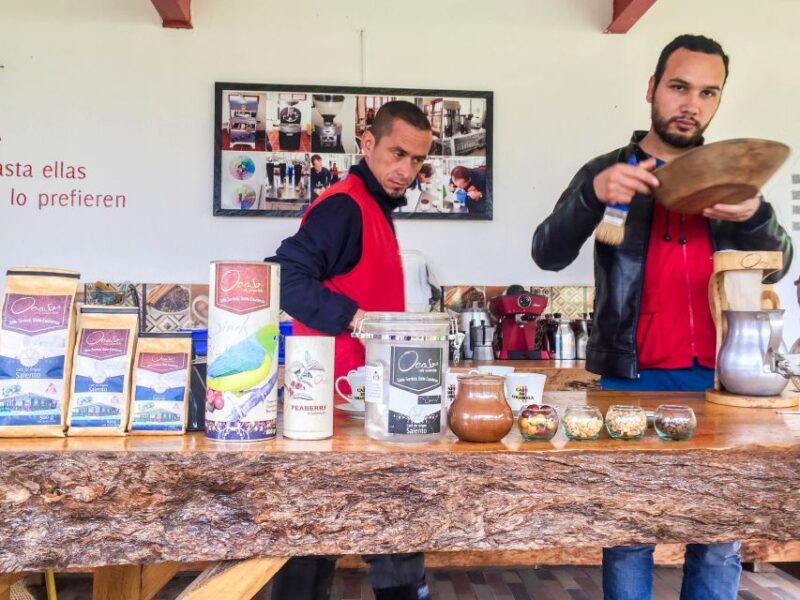 Salento: Coffee Tour at Finca El Ocaso - Detailed Itinerary of the Tour