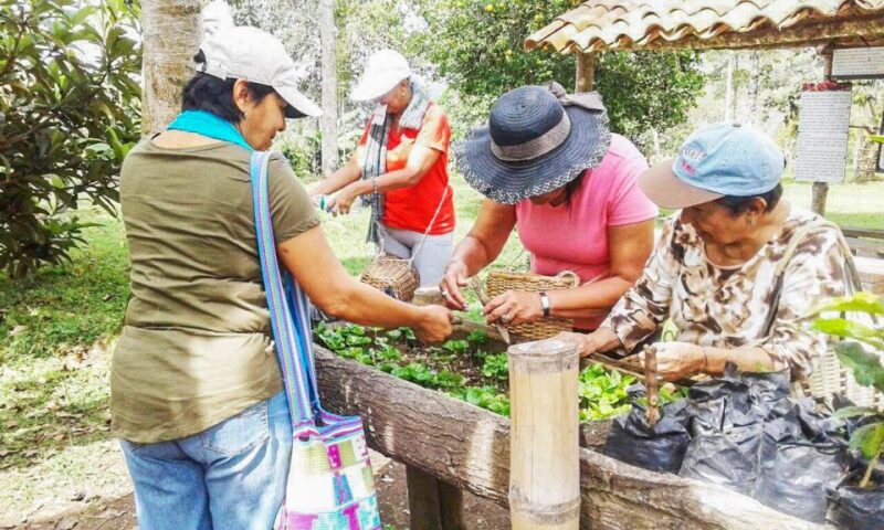 Salento: Coffee Tour at Finca El Ocaso - Important Information for Participants
