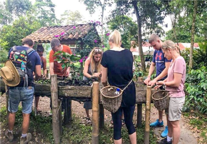 Salento: Coffee Tour at Finca El Ocaso - Exploring the Coffee Farms History