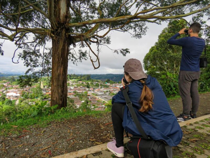 Salento: Hike to Learn About Birds - Exploring the Forest