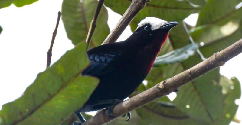 Salento: Hike to Learn About Birds - Starting Location and Itinerary