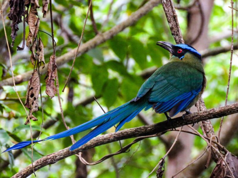 Salento: Hike to Learn About Birds - Customer Feedback
