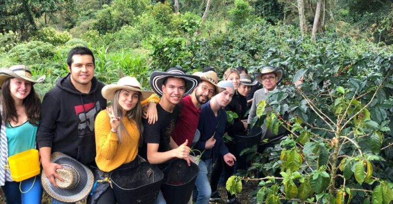 Salento: Private Cocora Valley, Salento & Coffee Farm Tour - Experience Highlights