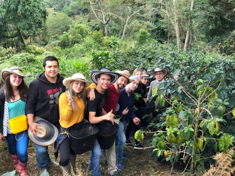 Salento: Private Cocora Valley, Salento & Coffee Farm Tour - Customer Feedback