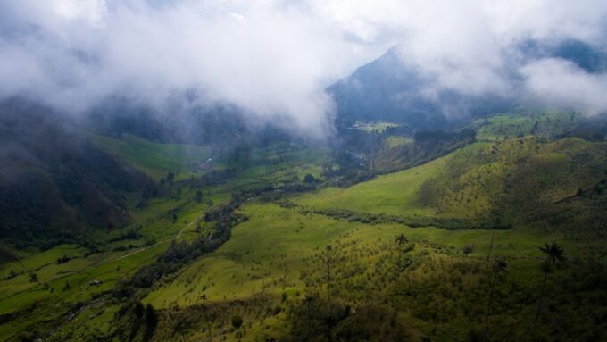 Salento: Private Cocora Valley, Salento & Coffee Farm Tour - Booking and Cancellation