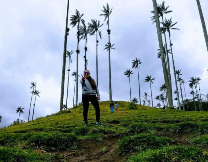 Salento: Private Cocora Valley, Salento & Coffee Farm Tour - Getting to Salento