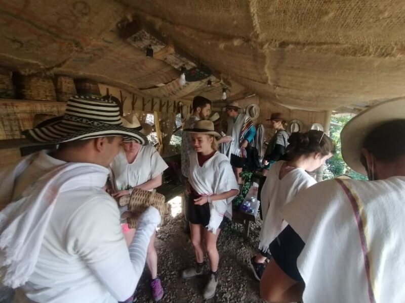 Salento: Private Cocora Valley, Salento & Coffee Farm Tour - Experience Highlights