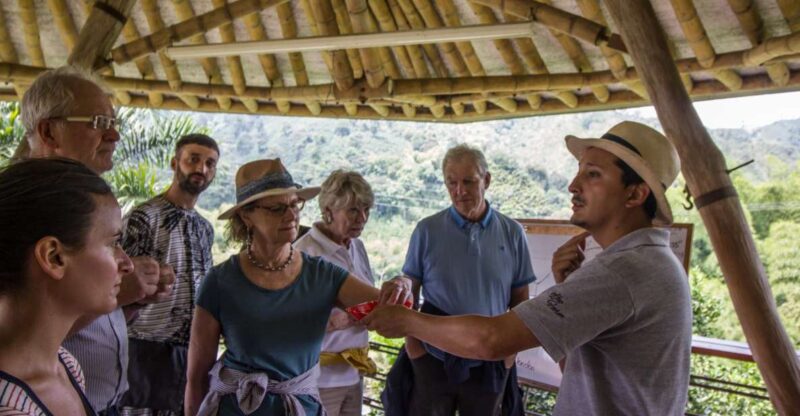 Salento: Private Hacienda Venecia Coffee Tour - Key Points