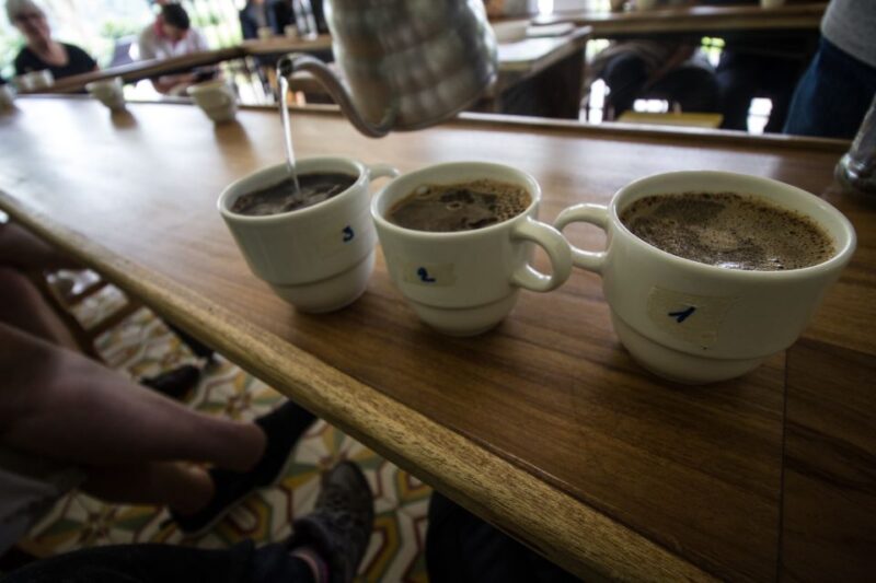 Salento: Private Hacienda Venecia Coffee Tour - Experience Highlights