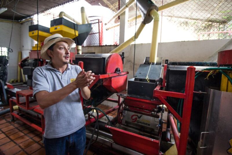 Salento: Private Hacienda Venecia Coffee Tour - Food Intolerances