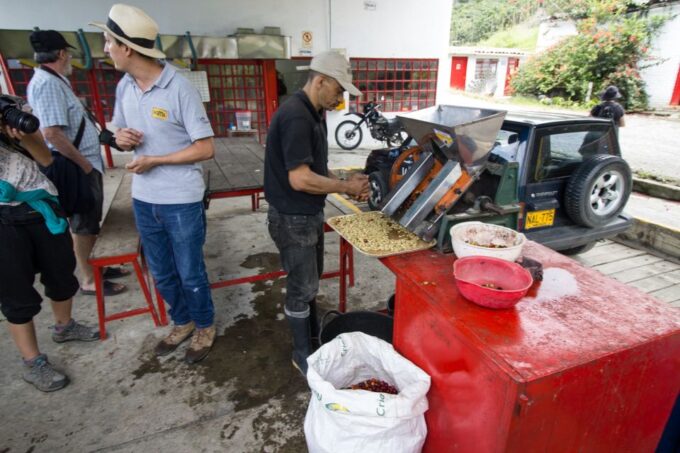 Salento: Private Hacienda Venecia Coffee Tour - Tour Availability