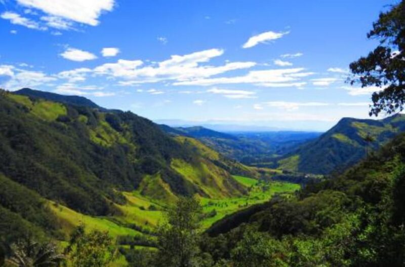 Salento to Cocora Valley (Or Vice Versa) - Private Transport - Experience Highlights