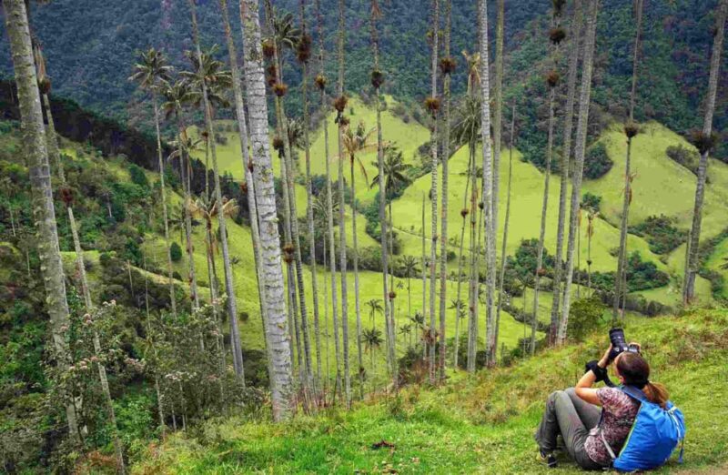 Salento to Cocora Valley (Or Vice Versa) - Private Transport - Cancellation Policy