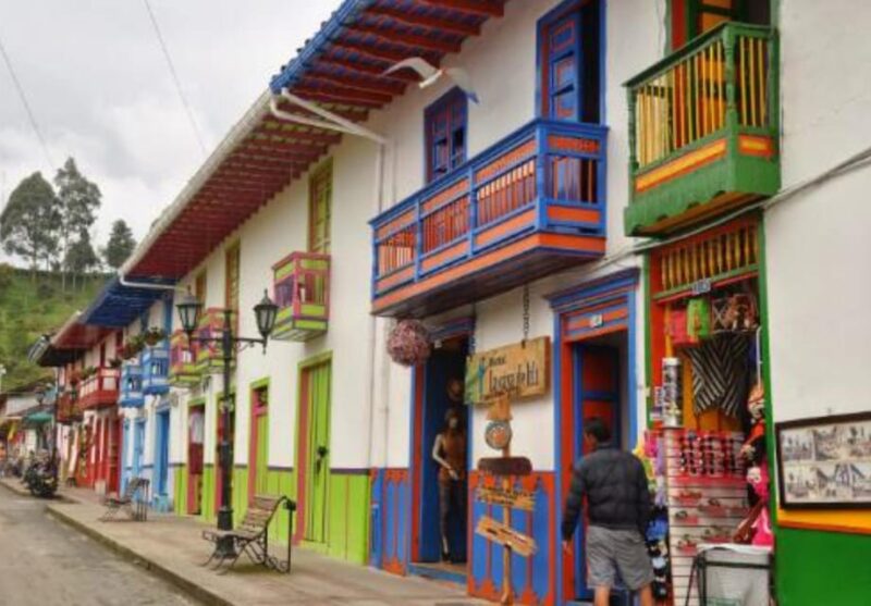 Salento to Manizales (Or Vice Versa) - Private Transport - Experience and Highlights