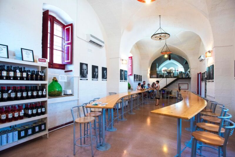Salento: Winery Tour and Tasting - Overview of the Winery Tour