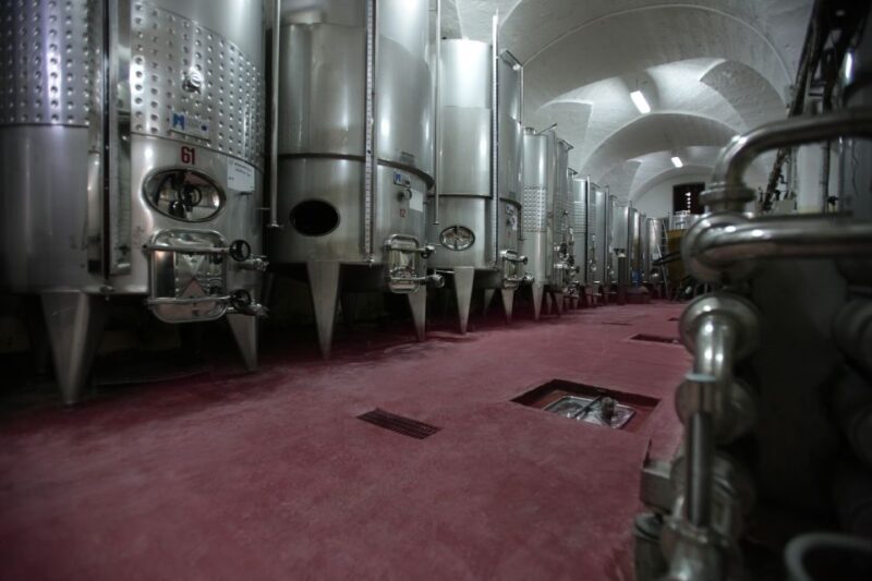 Salento: Winery Tour and Tasting - Pairing Wines With Traditional Taralli