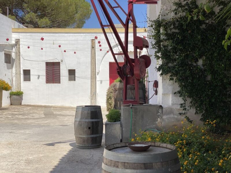 Salento: Winery Tour and Tasting - Customer Experiences and Feedback