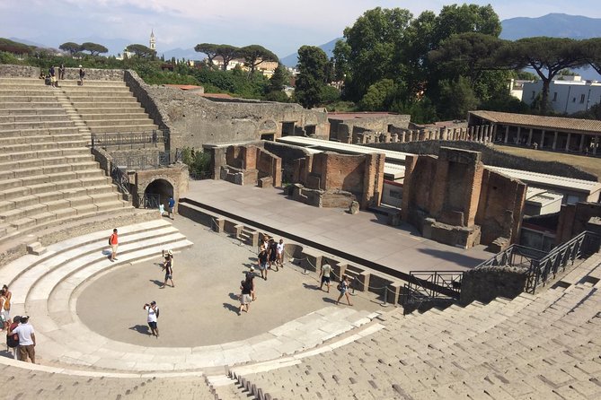 Salerno Shore Excursion: Private Pompeii Tour - Accessibility and Participation