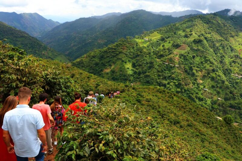 Salgar: the Manchuria Coffee Reserve Guided Tour With Lunch - Experience Highlights