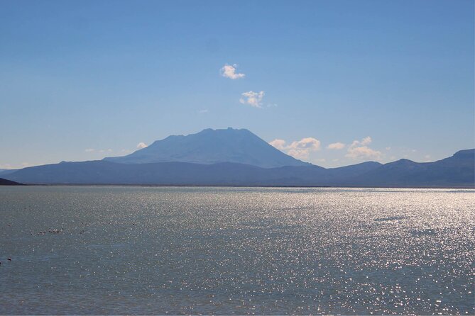 Salinas and Aguada Blanca Reserve Tour From Arequipa - Scenic Landscapes
