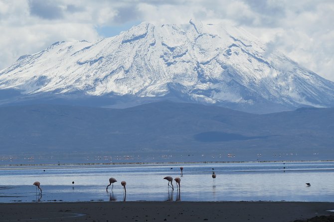Salinas Lake - National Reserve PRIVATE TOUR Min 2 People - Booking Information