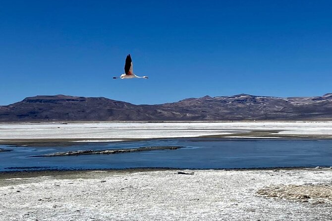 Salinas Lake - National Reserve PRIVATE TOUR Min 2 People - Exploring Salinas Lake