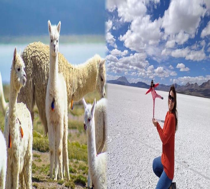 Salinas Lake - National Reserve PRIVATE TOUR - Itinerary Highlights