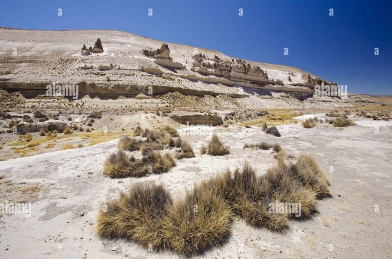 Salinas Lake - National Reserve PRIVATE TOUR - Flora and Fauna