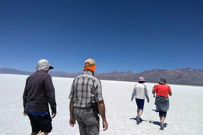 Salinas Salt Lagoon Private Tour - Day Trip From Arequipa - Stunning Landscapes
