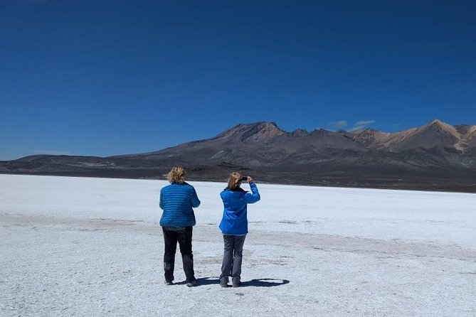 Salinas Salt Lagoon Private Tour - Day Trip From Arequipa - Wildlife Spotting Opportunities