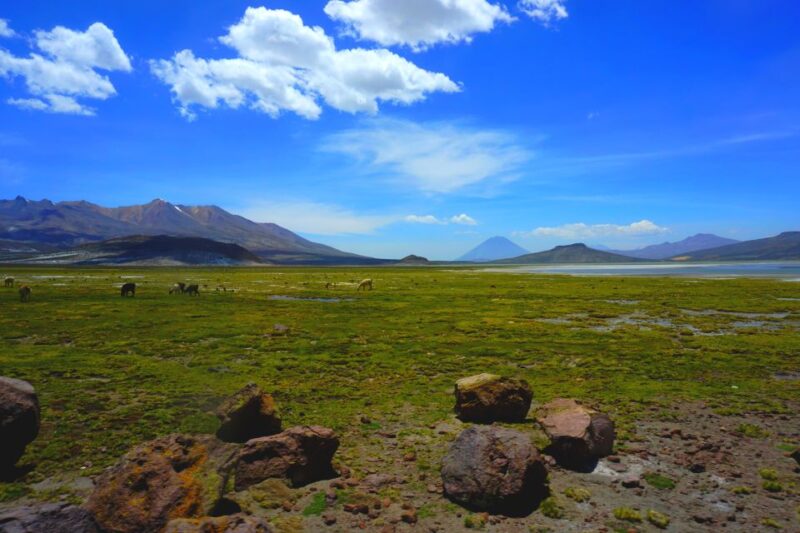 Salinas Salt Lagoon Private Tour: Day Trip From Arequipa - Inclusions
