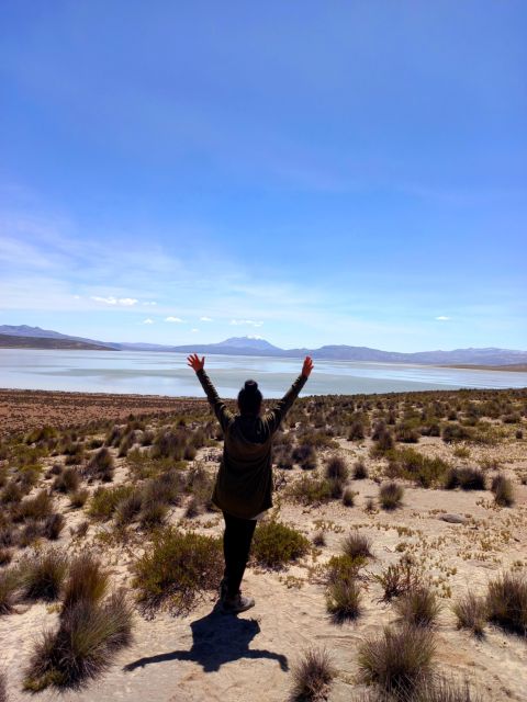 Salinas Salt Lagoon Private Tour: Day Trip From Arequipa - Pickup Locations and Transportation