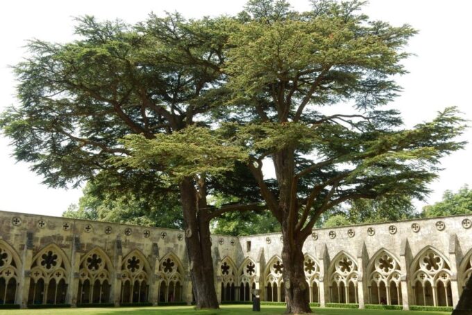 Salisbury: Quirky Self-Guided Smartphone Heritage Walks - Discover Unusual Places in Salisbury