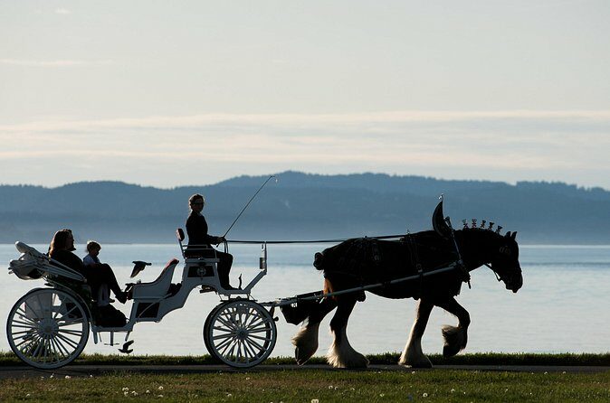 Salish Sea Horse-Drawn Carriage Tour of Victoria - Who Should Consider This Tour?