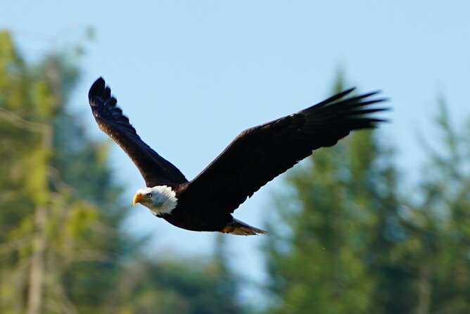 Salish Sea Whale Watching - Meeting Point Details