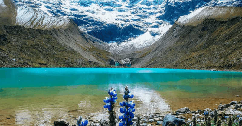 Salkantay: All-Inclusive 5-Day Machu Picchu Trek - Trek Details